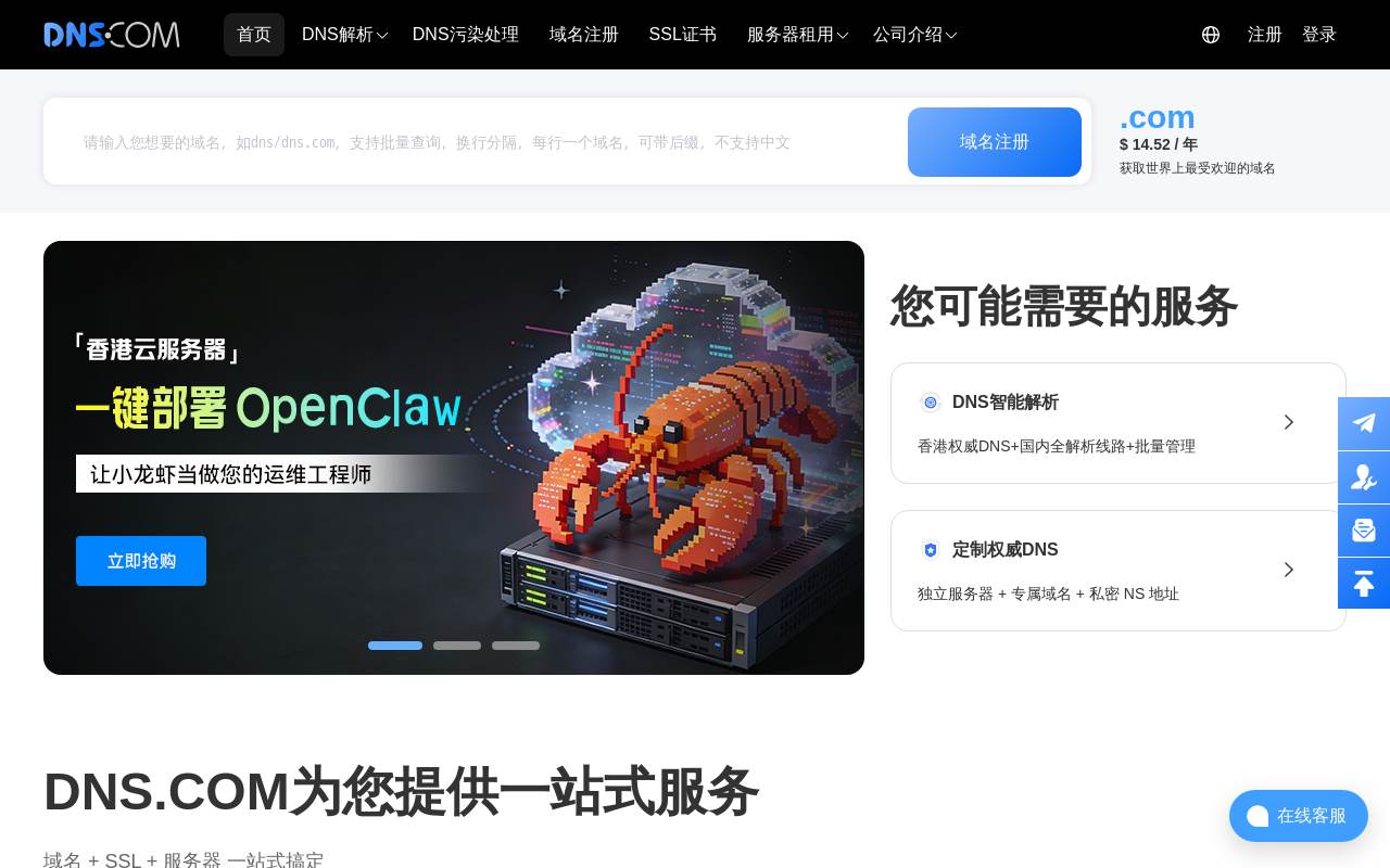 DNS.IO 官网截图